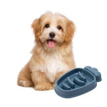 (Blue) Pet Bowl Non-Slip for Dogs & Cats