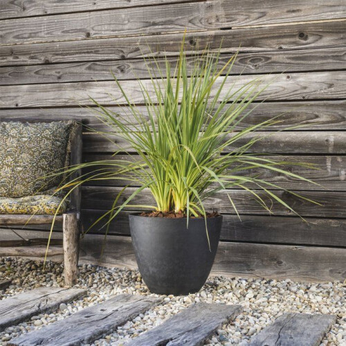 Blumentopf - ELEMENT - Kunststoff - Anthrazitgrau - Rund - Ø39,4xH31,6cm - 26,2L - Entwässerungssystem - EDA 2