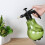 1.5L Large Capacity Plastic Spray Bottle with Adjustable Nozzle – Olive Green 16