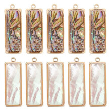 10 Pendenti con Conchiglia di Abalone In 2 Colori, Ciondoli con Conchiglia Naturale, Pendenti con Conchiglia di Mare, Ciondoli Pendenti con Conchiglia