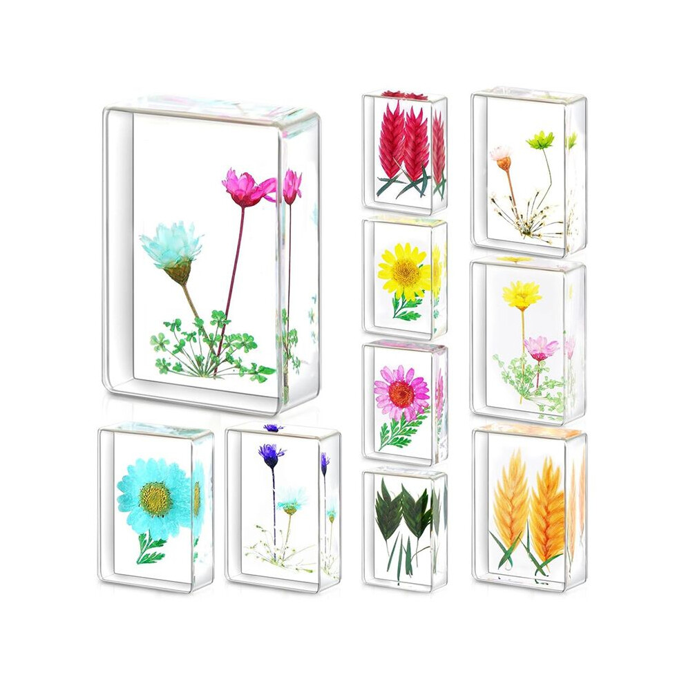 Flower In Resin Specimen 10 Pcs Pressed Flower Paperweight Resin Paperweights,For Kids Scientific Educational Display 4712089733910