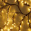 144 LED Tree Branch Rattan Lights Willow Vine Lights Warm White 8 Function Model EU Plug with Remote Control 2