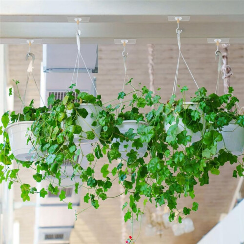 Adhesive Ceiling Hooks,10Pack Ceiling Hanger Hooks,Sticky Ceiling Hooks Hold 5kg,Hooks for Hanging Plants,Lanterns