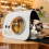 Cat Pet Air Bag Transparent Window Design Breathable Ventilation 4