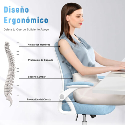 Ergonomic Mid-Back Office Desk Chair Blue 2