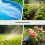 2 Outlet Water Timer Sprinkler Timer IP55 Waterproof Irrigation Controller with LCD Display for 2 Separate Watering Zone 9
