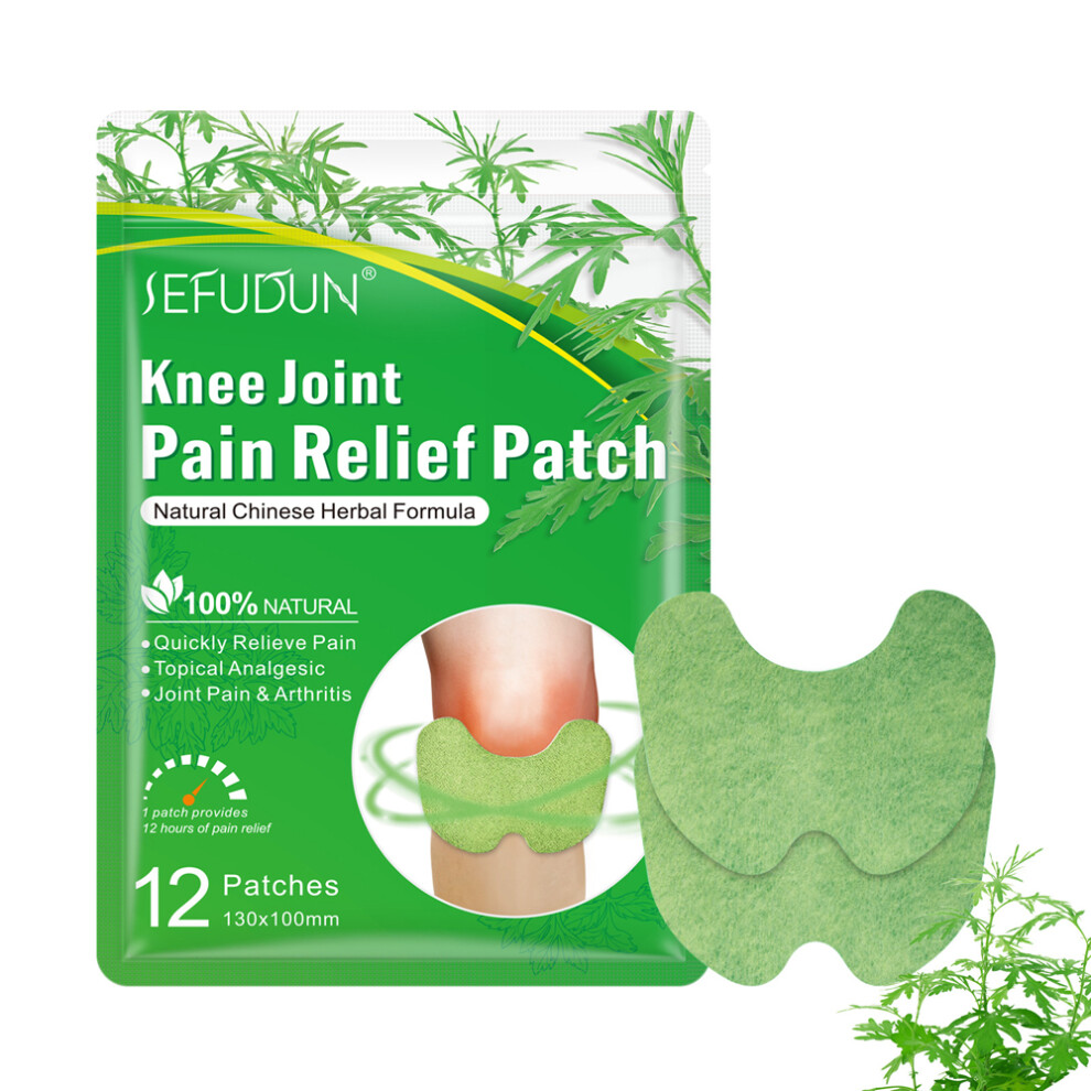 Dachuang Beauty (Knee Patch) 12Pcs Herbal Pain Patches For Muscle Relief