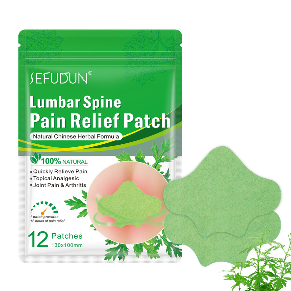 Dachuang Beauty (Lumbar Paste) 12Pcs Herbal Pain Patches For Muscle Relief