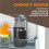 Cold Brew Coffee Maker 32Oz Cold Brew Pitcher with Stainless Steel Super Dense Filter for Iced Brew Coffee, Ice Tea-A 3