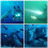 50L Diving Flashlight w/ Magnetic Switch 4