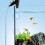 Mini Fish Tank Cleaner & Water Changer 9