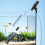Mini Fish Tank Cleaner & Water Changer 11
