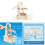 Children Physics Experiment Diy Playset Hand Water Pump For Learning And Fun 6