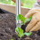 Auto-Pop Stainless Steel Soil Puncher for Gardening 6