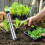 Auto-Pop Stainless Steel Soil Puncher for Gardening 7