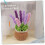 Crochet Kit DIY Lavender Crochet Kit with Needles Plush Doll Easy 3
