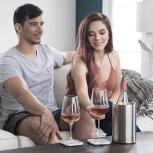 2X Insulated Wine Cooler Bucket with Wine Aerator - Fits 750Ml Wine Bottles, Keeps Wine Cold for Hours Stainless Steel