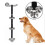 Dog Training Doorbell, 7 Bells, Adjustable 85cm Strap 9