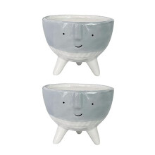 Succulent Planter Pot Pack of 2, Face Planters Perfect for Indoor Outdoor Plants,Planters Pots for Succulent String