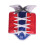 Taekwondo & Boxing Chest Protector 3