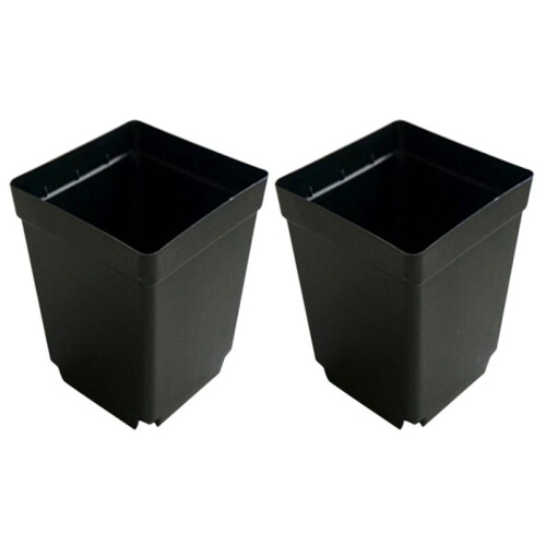 200PCS Plant Disposable Flower Pot Small Black Square Cutting Seedling Plastic Square Pot 1