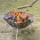 Foldable Stainless Steel Camping Charcoal Grill 2
