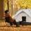 Portable Folding Steel Camping Chair with Backrest 7