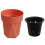 (Red) Hydroponic Self-Absorbent Vase for Healthy Plants 4