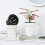 (White) Hydroponic Self-Absorbent Vase for Healthy Plants 3
