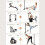 Adjustable Resistance Band (6.6-33LB) 3