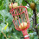 High-Altitude Fruit Picker Claw Tool for Easy Harvesting 4