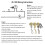 Ceiling Fan Light  Zing Ear ZE-109 Two-Wire Light  with Pull Cords for Ceiling Light Fans Lamps 4Pcs Bronze 6