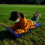 Snow Grass Sand Slide Mat Outdoor Skating Pad 5