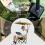 Foldable Camping Chair with Sunshade 5