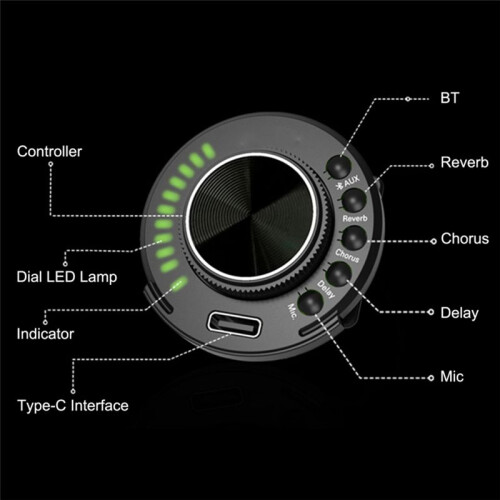 S1 Resonance Pickup Same Frequency Vibration Onboard Pre-SFT Guitar Amplifier System Reverberation Chorus Delay 1
