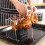 Stainless Steel Chicken Leg & Wing Rack 5