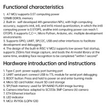 Carte de Développement Linux RV1106 Architecture RISC-V 256 Mo Flash Port Ethernet 100 Mbps Carte D'Intelligence Artificielle A