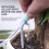Automatic Watering System Timeable Plant Waterer Built-in Self-Priming Pump  Timed Watering Timer 2m 16 Potted (EU) 6