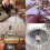Ceiling Fan Light  Zing Ear ZE-109 Two-Wire Light  with Pull Cords for Ceiling Light Fans Lamps 4Pcs Silver 4