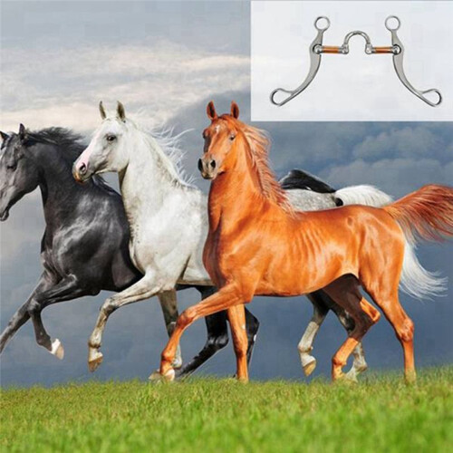 Snaffle Bits i Rostfritt StåL HäStbits Western Snaffle Bits för MunträNingsbits med Kopparport 2