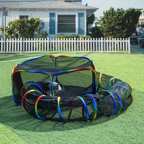 Tunnel Tent Playpen for Cats & Small Pets 2