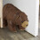 Bear Door Stop 13