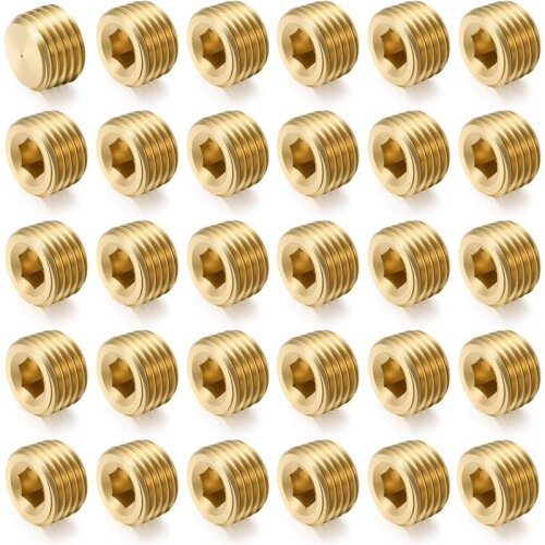 30Pcs 1/4"NPT Male Pipe Plug Fitting Set Internal Hex Thread Socket Pipe Plug Kit Hex Counter Sunk Plugs for End Closure 1
