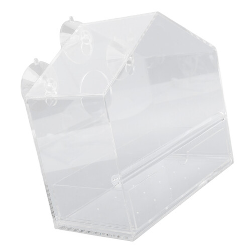 Clear Window Bird Feeder with Suction Cups