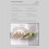 Fridge Organizer Egg Refrigerator Storage Rack Under-Shelf Refrigerator Drawer Box Fresh-Keeping Kitchen Organizer B 3