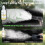 COLBOR High-Density Fog Juice Set 3