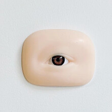 (Oculus Dexter) Soft Silicone Eyebrow Models Easy to Color Improve Skills Model for Eyebrow Tattoo Practice Use
