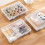 12-Pack Clear Plastic Storage Containers, 8 x 5 x 1.75 Inch Empty Hinged Box, Stackable Organizer 7