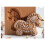 Holz-Plätzchenform, Geprägte Form, 3D-Geschnitzte Holztier-Plätzchenform, 4