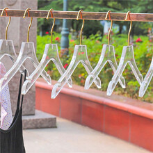 30 Pcs Clear Acrylic Clothes Hanger with Gold Hook, Transparent Shirts Dress Hanger with Notches for Lady Kids L